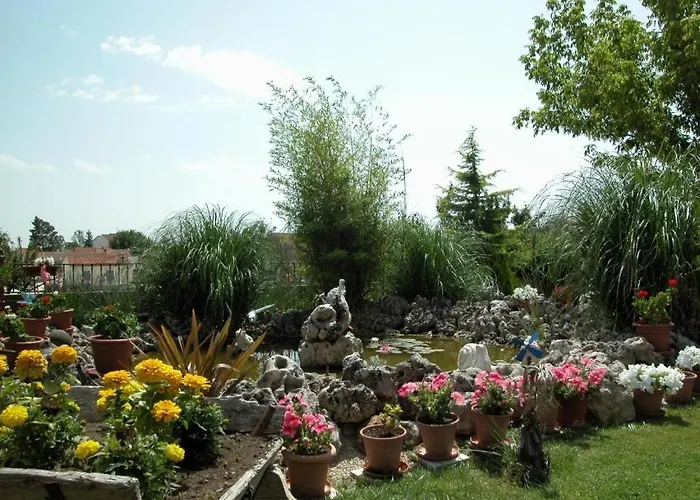 La Vieja Cantina * Quintana Redonda